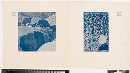 PAGES 49 AND 65 FROM THE JOURNAL "SACRED SPRING" (ISSUE 3,1901)