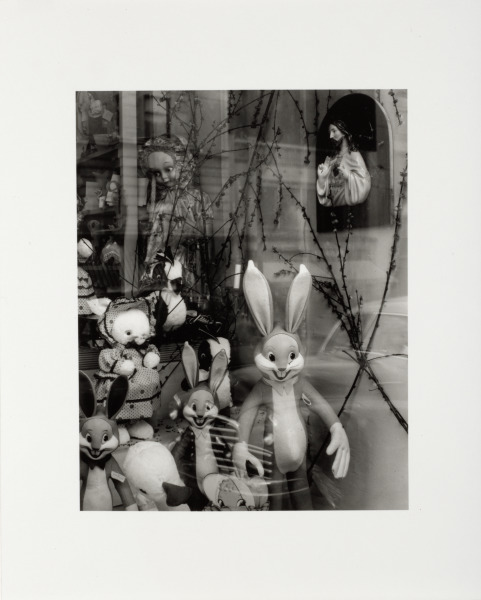 ON WALLS AND BEHIND GLASS, 17