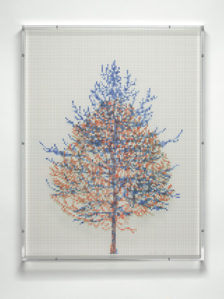 NUMBERS AND TREES, TIERGARTEN SERIES 3: TREE #2, MAY