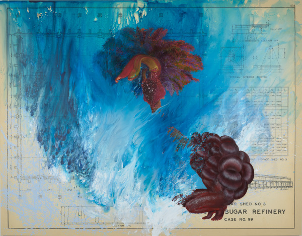 CONVEX (RECALIBRATING A BLIND SPOT)