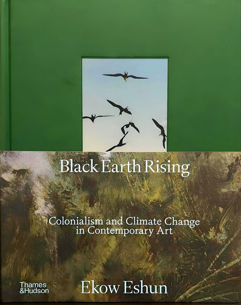 Black Earth Rising: Colonialism and Climate Change in Contemporary Art