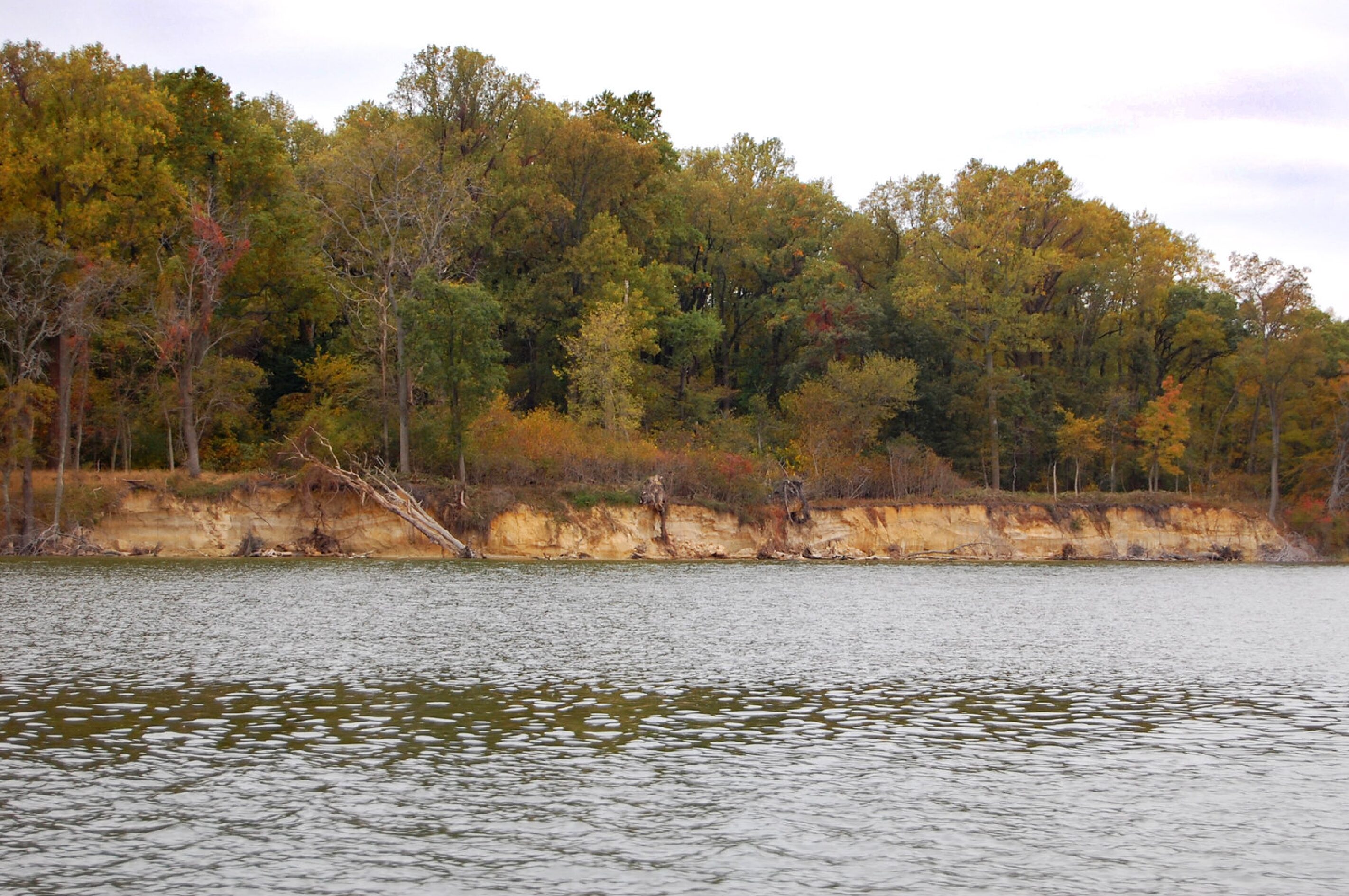 Chestertown Period Room: Protecting Baltimore’s Waterways