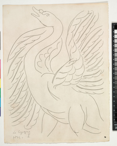 THE SWAN (REFUSED ETCHING)