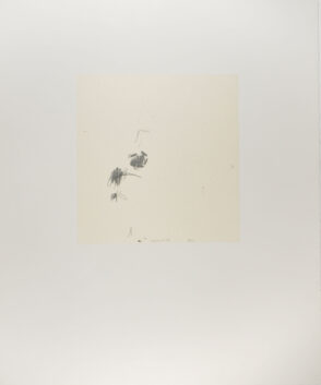 From the portfolio “Orchard Drawings”