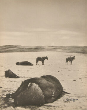 After the Chase, North Montana Range, M.T.