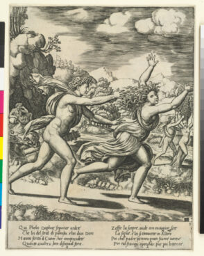 Apollo Pursuing Daphne
