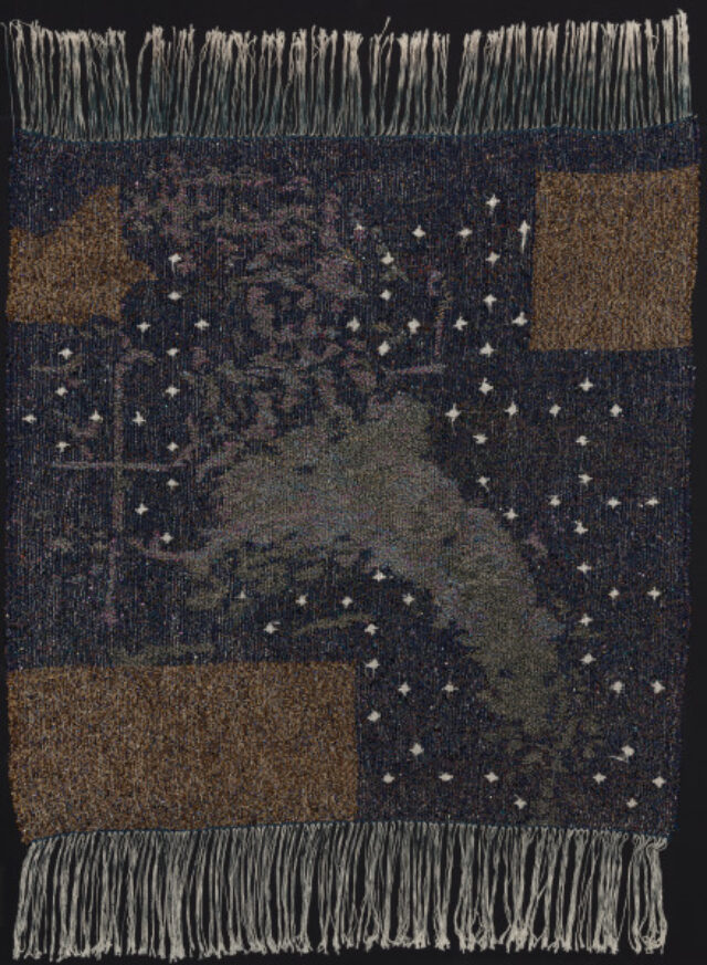 NAGTREIS OP N VLIENDE PERD (a night journey on a winged horse)