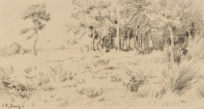 Woodland Scene