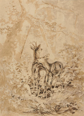 Two Deer in Woods