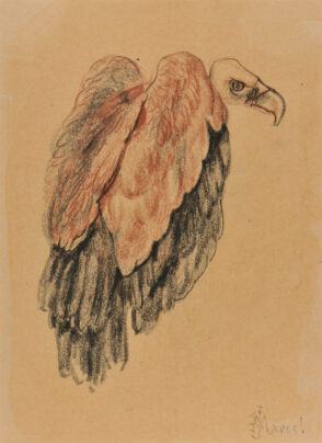 Vulture