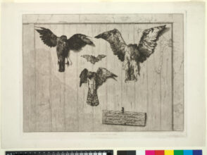 The Top Half of the Door