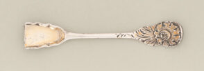 Salt Spoon