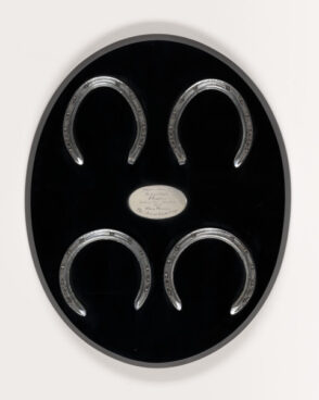 Plates Worn by Flares