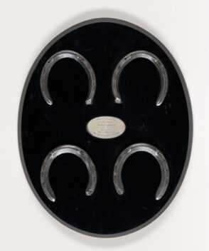 Plates Worn by Johnstown