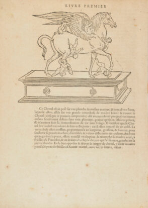 Illustration to ‘Songe de Polyphile’