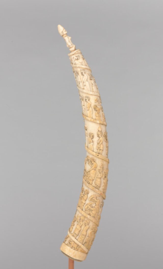 Tusk Carved in Relief