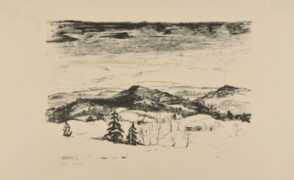 Mountain and Pine Trees