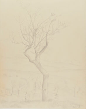 Landscape with Tree