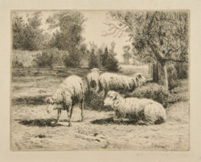 Landscape with Sheep