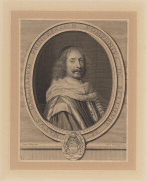 Pompone de Bellieure