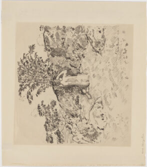 The Wild Cherry Tree