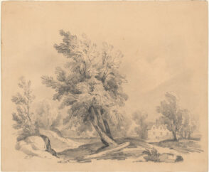 The Old House by the Wayside