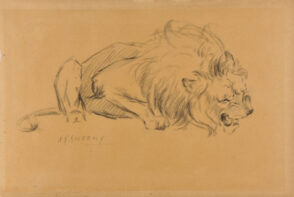 Snarling Lion (recto); Head of a Lioness (verso)
