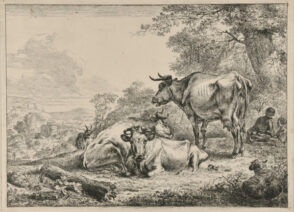 The Resting Cows