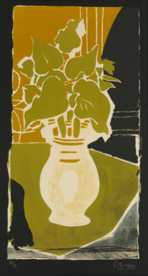 Feuilles Couleur Lumiere