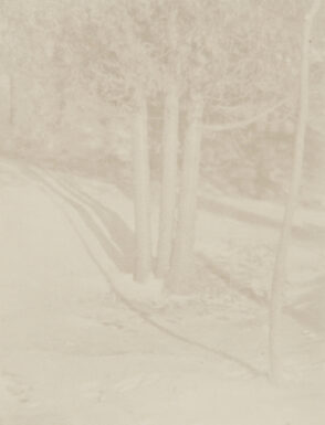 Judgement of Paris, a Landscape Arrangement