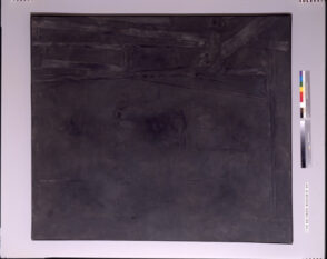 Grey with Lateral Relief