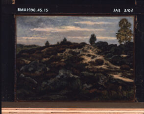 Deer in the Forest of Fontainebleau