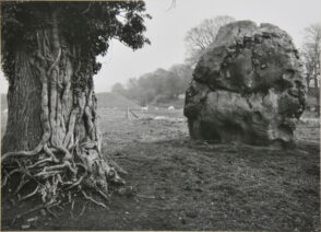 Stone & Tree, Avebury, England.