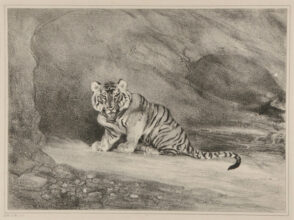 Tigre à l’entrée de son antre