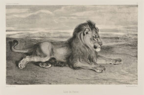 Lion de Perse
