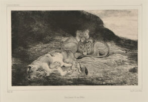 Une Lionne et ses petits