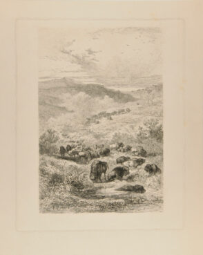 Herds of Bisons and Elks on the upper Missouri