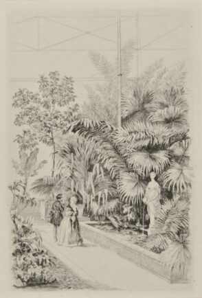 Intérieur de la grande serre du Jardin des Plantes