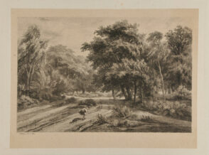 Le Nid de l’aigle dans le forêt de Fontainebleau