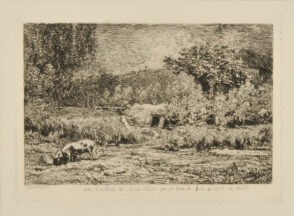 The Pig in an Orchard