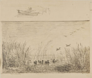 Le Marais aux canards