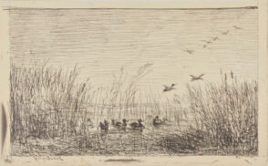 Le Marais aux canards