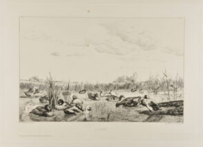 L’Étang (deuxième planche)