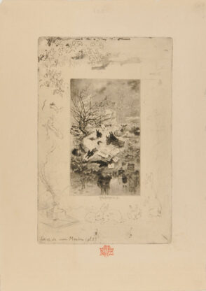 Title page for Letters from My Lighthouse