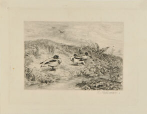 Three Ducks on a Riverbank