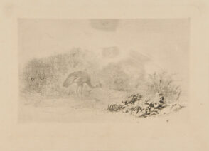 Heron à l’Aigrette