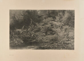 Renard à l’affût