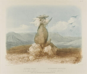 Magic Pile Erected by the Assiniboin Indians