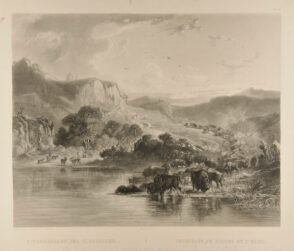 Herds of Bisons and Elks on the upper Missouri