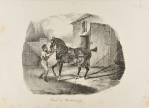 Cheval de Mecklembourg